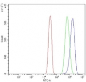 Flow cytometry testing of human SiHa cells with SEC23B antibody at 1ug/million cells (blocked with goat sera); Red=cells alone, Green=isotype control, Blue= SEC23B antibody.