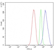 Flow cytometry testing of human HepG2 cells with Prohibitin 2 antibody at 1ug/million cells (blocked with goat sera); Red=cells alone, Green=isotype control, Blue= Prohibitin 2 antibody.