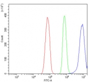 Flow cytometry testing of rat RH35 cells with APOA5 antibody at 1ug/million cells (blocked with goat sera); Red=cells alone, Green=isotype control, Blue= APOA5 antibody.