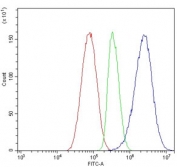 Flow cytometry testing of human HepG2 cells with APOA5 antibody at 1ug/million cells (blocked with goat sera); Red=cells alone, Green=isotype control, Blue= APOA5 antibody.