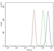 Flow cytometry testing of human PC-3 cells with ADP-ribosylation factor 6 antibody at 1ug/10^6 cells (blocked with goat sera); Red=cells alone, Green=isotype control, Blue= ADP-ribosylation factor 6 antibody.