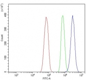 Flow cytometry testing of rat RH35 cells with ADP-ribosylation factor 6 antibody at 1ug/10^6 cells (blocked with goat sera); Red=cells alone, Green=isotype control, Blue= ADP-ribosylation factor 6 antibody.