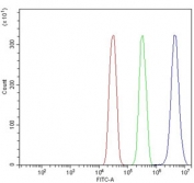 Flow cytometry testing of human SiHa cells with PRDM14 antibody at 1ug/million cells (blocked with goat sera); Red=cells alone, Green=isotype control, Blue= PRDM14 antibody.