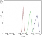 Flow cytometry testing of human Caco-2 cells with ZO2 antibody at 1ug/million cells (blocked with goat sera); Red=cells alone, Green=isotype control, Blue= ZO2 antibody.