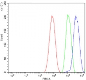 Flow cytometry testing of human HepG2 cells with Clathrin heavy chain antibody at 1ug/million cells (blocked with goat sera); Red=cells alone, Green=isotype control, Blue= Clathrin heavy chain antibody.