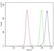 Flow cytometry testing of human MCF7 cells with ACVRL1 antibody at 1ug/million cells (blocked with goat sera); Red=cells alone, Green=isotype control, Blue= ACVRL1 antibody.