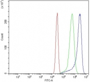 Flow cytometry testing of mouse HEPA1-6 cells with DYNLL1 antibody at 1ug/million cells (blocked with goat sera); Red=cells alone, Green=isotype control, Blue= DYNLL1 antibody.