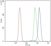 Flow cytometry testing of human U937 cells with DYNLL1 antibody at 1ug/million cells (blocked with goat sera); Red=cells alone, Green=isotype control, Blue= DYNLL1 antibody.