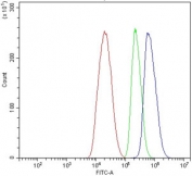 Flow cytometry testing of human HepG2 cells with HFH-4 antibody at 1ug/million cells (blocked with goat sera); Red=cells alone, Green=isotype control, Blue= HFH-4 antibody.