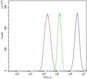 Flow cytometry testing of fixed and permeabilized human HepG2 cells with Glutamic-oxaloacetic transaminase 1 antibody at 1ug/million cells (blocked with goat sera); Red=cells alone, Green=isotype control, Blue= Glutamic-oxaloacetic transaminase 1 antibody.