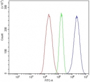 Flow cytometry testing of human HepG2 cells with Glutamate-oxaloacetate transaminase 2 antibody at 1ug/million cells (blocked with goat sera); Red=cells alone, Green=isotype control, Blue= Glutamate-oxaloacetate transaminase 2 antibody.