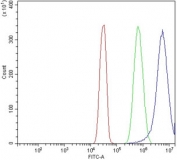 Flow cytometry testing of human SiHa cells with MIEF1 antibody at 1ug/million cells (blocked with goat sera); Red=cells alone, Green=isotype control, Blue= MIEF1 antibody.