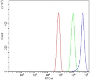 Flow cytometry testing of rat RH35 cells with Timp1 antibody at 1ug/million cells (blocked with goat sera); Red=cells alone, Green=isotype control, Blue= Timp1 antibody.