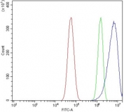 Flow cytometry testing of human U-87 MG cells with Antizyme inhibitor 2 antibody at 1ug/million cells (blocked with goat sera); Red=cells alone, Green=isotype control, Blue= Antizyme inhibitor 2 antibody.