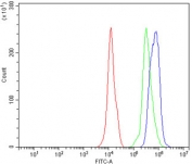 Flow cytometry testing of mouse PBM cells with Cd147 antibody at 1ug/million cells (blocked with goat sera); Red=cells alone, Green=isotype control, Blue= Cd147 antibody.