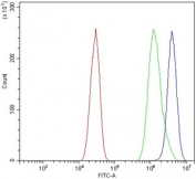 Flow cytometry testing of mouse HEPA1-6 cells with Chromogranin A antibody at 1ug/million cells (blocked with goat sera); Red=cells alone, Green=isotype control, Blue= Chromogranin A antibody.