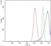 Flow cytometry testing of human A549 cells with Claudin 2 antibody at 1ug/million cells (blocked with goat sera); Red=cells alone, Green=isotype control, Blue= Claudin 2 antibody.