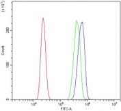 Flow cytometry testing of human HL60 cells with CYP3A4 antibody at 1ug/million cells (blocked with goat sera); Red=cells alone, Green=isotype control, Blue= CYP3A4 antibody.
