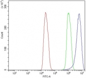 Flow cytometry testing of rat C6 cells with Dynamin 3 antibody at 1ug/million cells (blocked with goat sera); Red=cells alone, Green=isotype control, Blue= Dynamin 3 antibody.