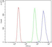 Flow cytometry testing of human HL60 cells with EHMT2 antibody at 1ug/million cells (blocked with goat sera); Red=cells alone, Green=isotype control, Blue= EHMT2 antibody.