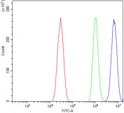 Flow cytometry testing of mouse HEPA1-6 cells with Elovl4 antibody at 1ug/million cells (blocked with goat sera); Red=cells alone, Green=isotype control, Blue= Elovl4 antibody.