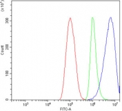 Flow cytometry testing of human ThP-1 cells with CD39 antibody at 1ug/million cells (blocked with goat sera); Red=cells alone, Green=isotype control, Blue= CD39 antibody.