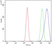 Flow cytometry testing of human Caco-2 cells with GOLM1 antibody at 1ug/million cells (blocked with goat sera); Red=cells alone, Green=isotype control, Blue= GOLM1 antibody.