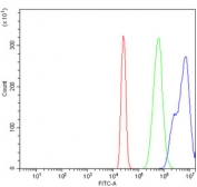 Flow cytometry testing of human HL60 cells with TCF1 alpha antibody at 1ug/million cells (blocked with goat sera); Red=cells alone, Green=isotype control, Blue= TCF1 alpha antibody.