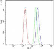Flow cytometry testing of human 293T cells with KCNQ2 antibody at 1ug/million cells (blocked with goat sera); Red=cells alone, Green=isotype control, Blue= KCNQ2 antibody.