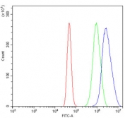 Flow cytometry testing of human A431 cells with SUMO2/3 antibody at 1ug/million cells (blocked with goat sera); Red=cells alone, Green=isotype control, Blue= SUMO2/3 antibody.