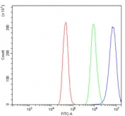 Flow cytometry testing of human a431 cells with RPL13A antibody at 1ug/million cells (blocked with goat sera); Red=cells alone, Green=isotype control, Blue= RPL13A antibody.