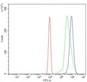 Flow cytometry testing of mouse ANA-1 cells with ACTN2 antibody at 1ug/million cells (blocked with goat sera); Red=cells alone, Green=isotype control, Blue= ACTN2 antibody.