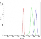 Flow cytometry testing of mouse ANA-1 cells with Gbp4 antibody at 1ug/million cells (blocked with goat sera); Red=cells alone, Green=isotype control, Blue= Gbp4 antibody.