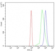 Flow cytometry testing of mouse ANA-1 cells with Alanine aminotransferase 1 antibody at 1ug/million cells (blocked with goat sera); Red=cells alone, Green=isotype control, Blue= Alanine aminotransferase 1 antibody.