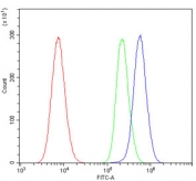 Flow cytometry testing of mouse HEPA1-6 cells with IL-2 receptor alpha antibody at 1ug/million cells (blocked with goat sera); Red=cells alone, Green=isotype control, Blue= IL-2 receptor alpha antibody.