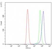 Flow cytometry testing of human Raji cells with Integrin Linked Kinase antibody at 1ug/million cells (blocked with goat sera); Red=cells alone, Green=isotype control, Blue= Integrin Linked Kinase antibody.
