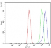 Flow cytometry testing of rat C6 cells with Integrin Linked Kinase antibody at 1ug/million cells (blocked with goat sera); Red=cells alone, Green=isotype control, Blue= Integrin Linked Kinase antibody.