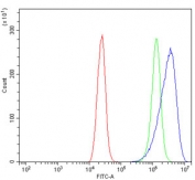Flow cytometry testing of human Caco-2 cells with LACTB antibody at 1ug/million cells (blocked with goat sera); Red=cells alone, Green=isotype control, Blue= LACTB antibody.