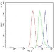 Flow cytometry testing of human ThP-1 cells with P2X7 antibody at 1ug/million cells (blocked with goat sera); Red=cells alone, Green=isotype control, Blue= P2X7 antibody.