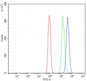 Flow cytometry testing of mouse ANA-1 cells with RAB11A antibody at 1ug/million cells (blocked with goat sera); Red=cells alone, Green=isotype control, Blue= RAB11A antibody.