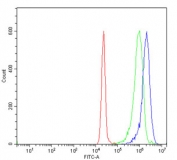 Flow cytometry testing of human JK-1 cells with PPIE antibody at 1ug/million cells (blocked with goat sera); Red=cells alone, Green=isotype control, Blue= PPIE antibody.