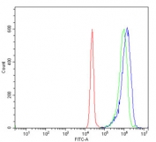 Flow cytometry testing of human JK-1 cells with LSM8 antibody at 1ug/million cells (blocked with goat sera); Red=cells alone, Green=isotype control, Blue= LSM8 antibody.