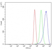 Flow cytometry testing of human U-251 MG cells with Adenosine Receptor A2b antibody at 1ug/million cells (blocked with goat sera); Red=cells alone, Green=isotype control, Blue= Adenosine Receptor A2b antibody.