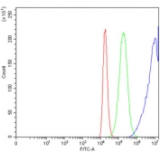 Flow cytometry testing of human 293T cells with CYB5R3 antibody at 1ug/million cells (blocked with goat sera); Red=cells alone, Green=isotype control, Blue= CYB5R3 antibody.