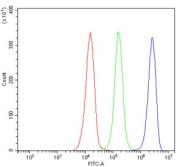 Flow cytometry testing of human JK-1 cells with GIGYF2 antibody at 1ug/million cells (blocked with goat sera); Red=cells alone, Green=isotype control, Blue= GIGYF2 antibody.