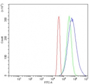 Flow cytometry testing of human HeLa cells with MOV10 antibody at 1ug/million cells (blocked with goat sera); Red=cells alone, Green=isotype control, Blue= MOV10 antibody.