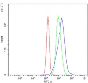 Flow cytometry testing of human JK-1 cells with MAT II beta antibody at 1ug/million cells (blocked with goat sera); Red=cells alone, Green=isotype control, Blue= MAT II beta antibody.