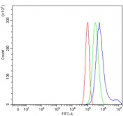Flow cytometry testing of human PC-3 cells with TCPTP antibody at 1ug/million cells (blocked with goat sera); Red=cells alone, Green=isotype control, Blue= TCPTP antibody.