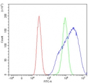 Flow cytometry testing of human MCF7 cells with Epac1 antibody at 1ug/million cells (blocked with goat sera); Red=cells alone, Green=isotype control, Blue= Epac1 antibody.