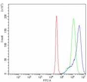 Flow cytometry testing of human K562 cells with SLC12A2 antibody at 1ug/million cells (blocked with goat sera); Red=cells alone, Green=isotype control, Blue= SLC12A2 antibody.